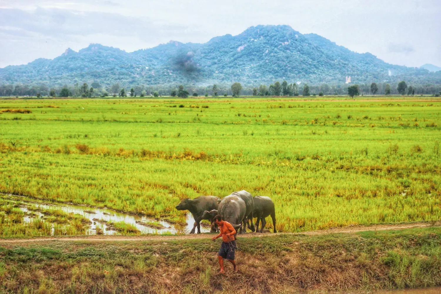 An Giang mùa nước nổi đẹp tựa bức tranh sơn thủy hữu tình 18