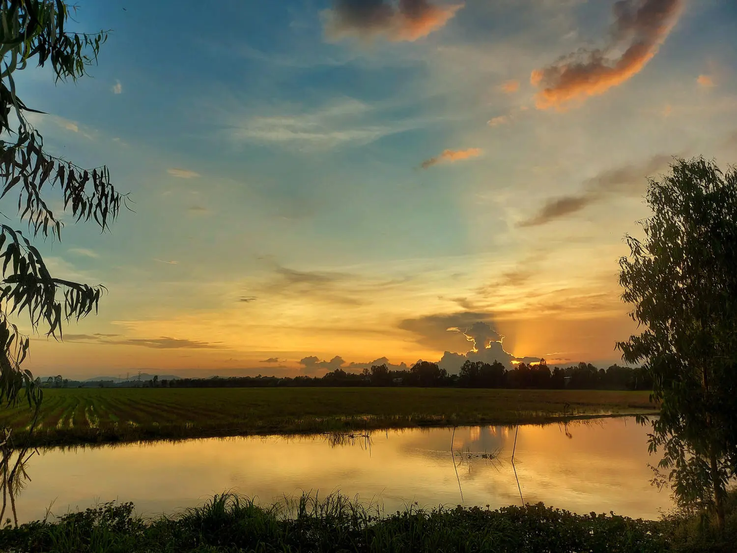 An Giang mùa nước nổi đẹp tựa bức tranh sơn thủy hữu tình 6