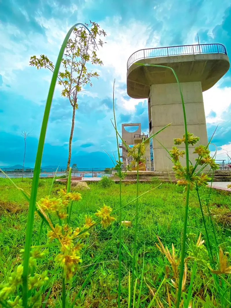 Đập Tr&agrave; Sư, một n&eacute;t y&ecirc;n b&igrave;nh trong l&ograve;ng Thất Sơn An Giang 8