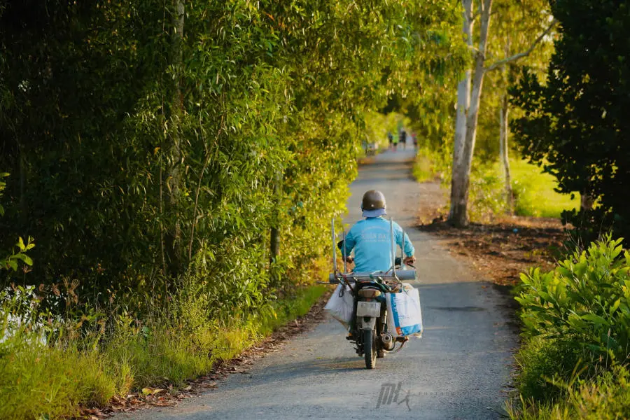 Lang thang An Giang kh&aacute;m ph&aacute; miền qu&ecirc; thanh b&igrave;nh v&agrave;o m&ugrave;a nước nổi 2