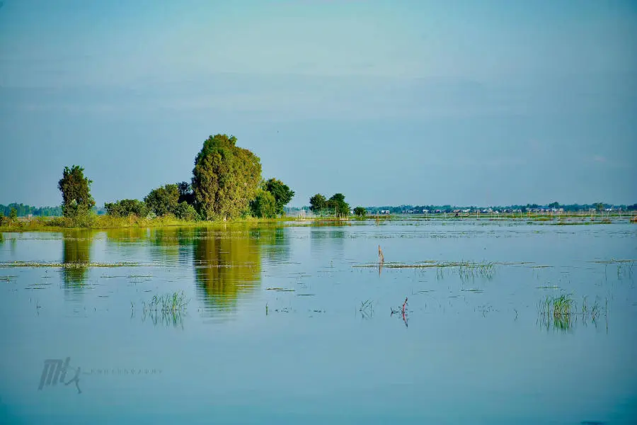 Lang thang An Giang kh&aacute;m ph&aacute; miền qu&ecirc; thanh b&igrave;nh v&agrave;o m&ugrave;a nước nổi 6