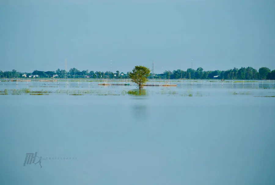 Lang thang An Giang kh&aacute;m ph&aacute; miền qu&ecirc; thanh b&igrave;nh v&agrave;o m&ugrave;a nước nổi 3