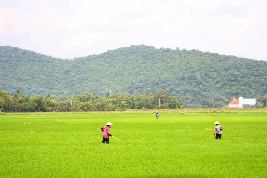 Lang thang Bảy N&uacute;i An Giang t&igrave;m về một miền qu&ecirc; thanh b&igrave;nh 6