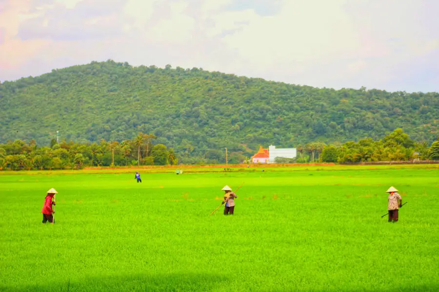 Lang thang Bảy N&uacute;i An Giang t&igrave;m về một miền qu&ecirc; thanh b&igrave;nh 3