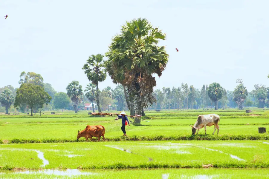 Lang thang Bảy N&uacute;i An Giang t&igrave;m về một miền qu&ecirc; thanh b&igrave;nh 2