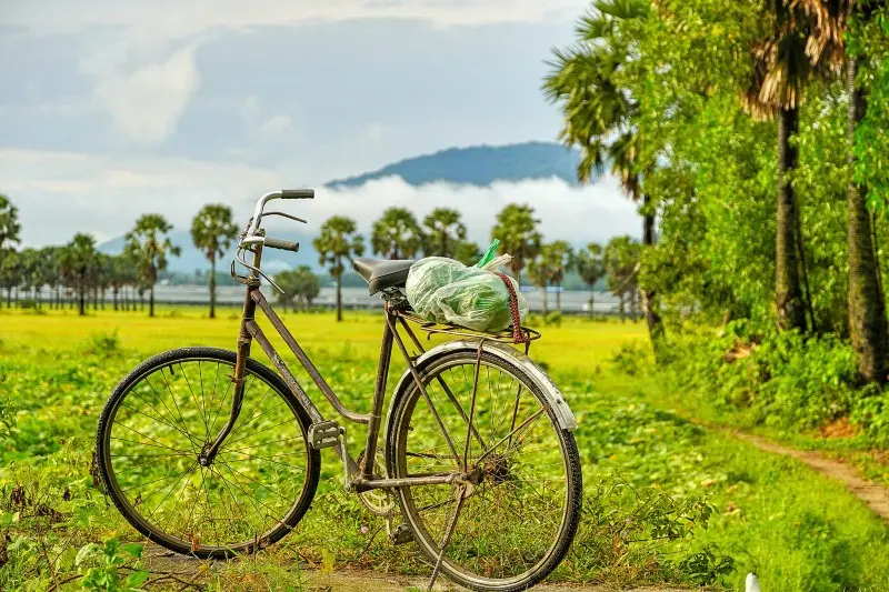 M&ugrave;a v&agrave;ng An Giang đẹp ngỡ ng&agrave;ng qua lăng k&iacute;nh của Dương Việt Anh 4