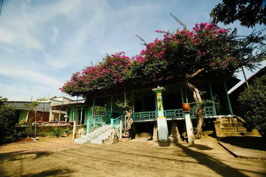Ngôi nhà hoa giấy ở Phú Tân An Giang, vẻ đẹp thôn quê dịu dàng 4