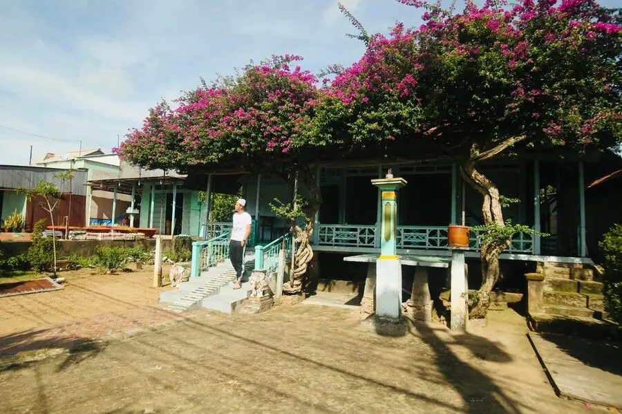 Ngôi nhà hoa giấy ở Phú Tân An Giang, vẻ đẹp thôn quê dịu dàng 3