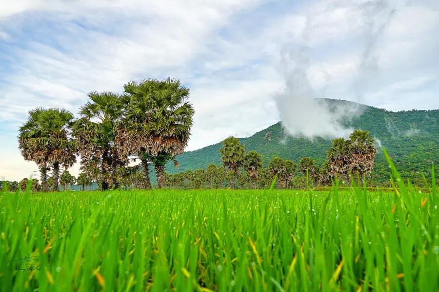 N&uacute;i Cấm mang vẻ đẹp hiền h&ograve;a ngay cả trong ng&agrave;y mưa b&atilde;o 5