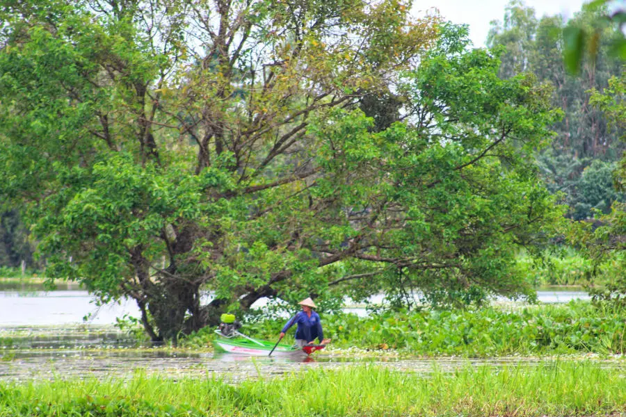 Th&aacute;ng 10 gh&eacute; An Giang m&ugrave;a nước nổi kiếm t&igrave;m sự b&igrave;nh y&ecirc;n 3