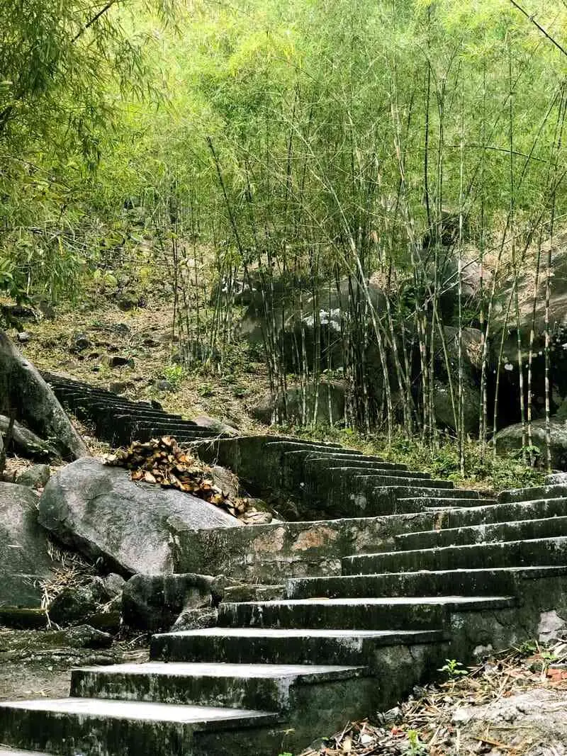 T&uacute; Dương Miếu, điểm đến y&ecirc;n ắng n&eacute;p m&igrave;nh b&ecirc;n rừng tr&uacute;c 2