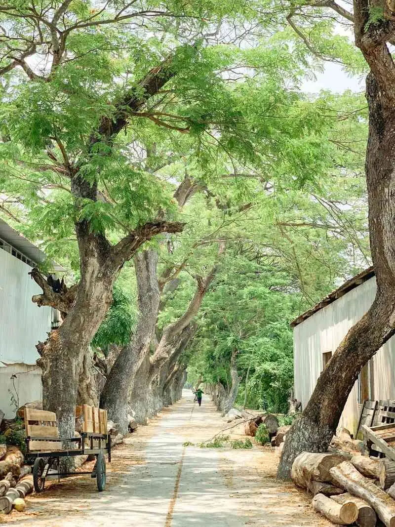 Vãn cảnh Chùa Krăng Krốch, không gian ấn tượng giữa vùng Tri Tôn 5