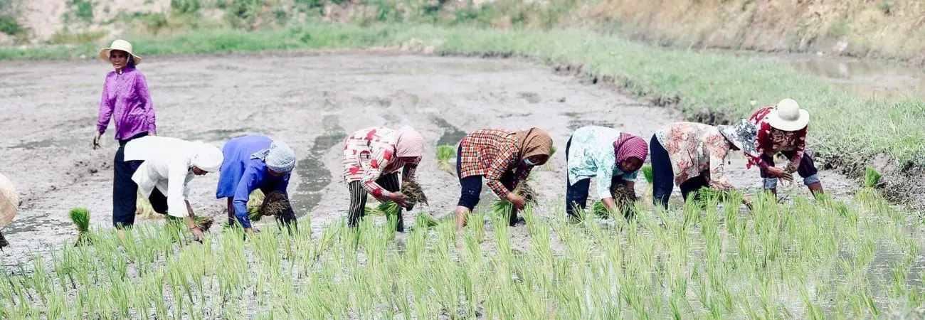 Hòa mình vào Tết cổ truyền Senl Donta độc đáo của người Khmer