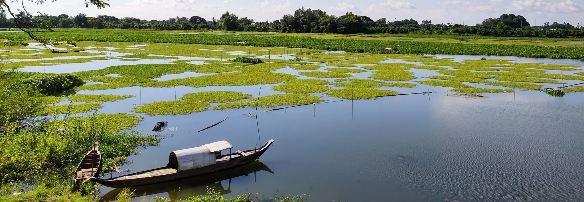 Về Búng Bình Thiên chiêm ngưỡng hồ nước trời lớn nhất Nam Bộ