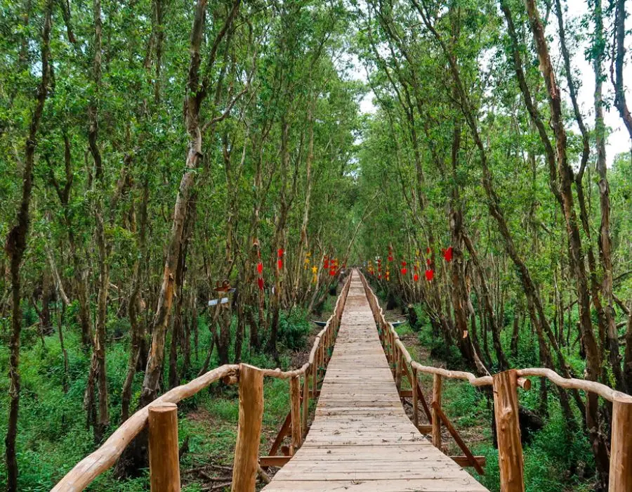 Gợi ý Lịch trình An Giang tự túc 2N1Đ vui quên lối về 5