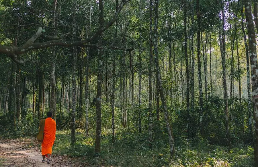 H&agrave;nh tr&igrave;nh du lịch Tri T&ocirc;n An Giang với những điểm đến hấp dẫn 13