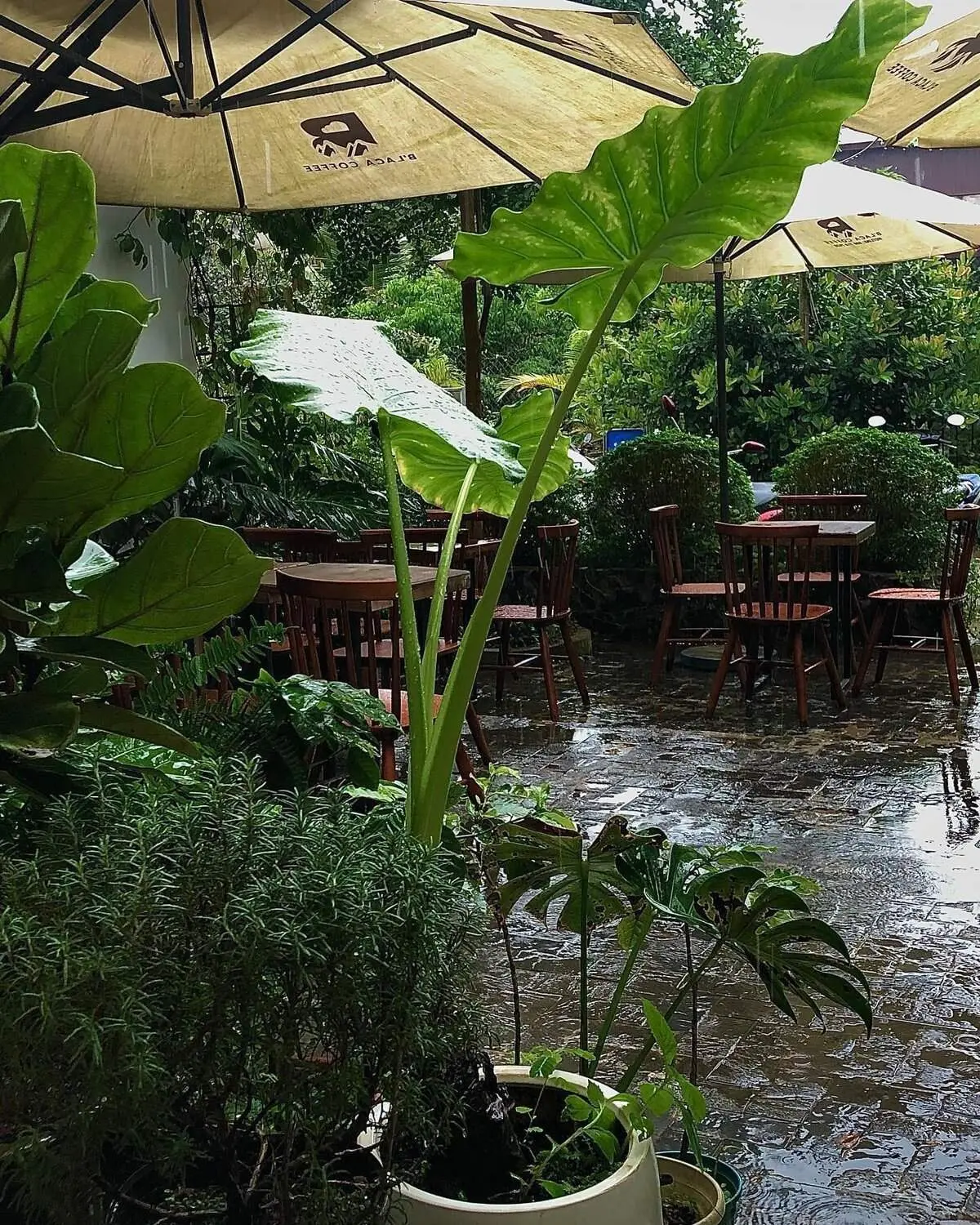 B'laca coffee, điểm hẹn mới mẻ cho c&aacute;c cặp đ&ocirc;i 6