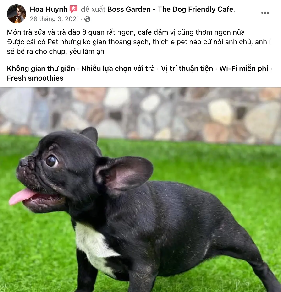 Cafe Boss Garden, qu&aacute;n c&agrave; ph&ecirc; th&uacute; cưng độc đ&aacute;o tại Bảo Lộc 14