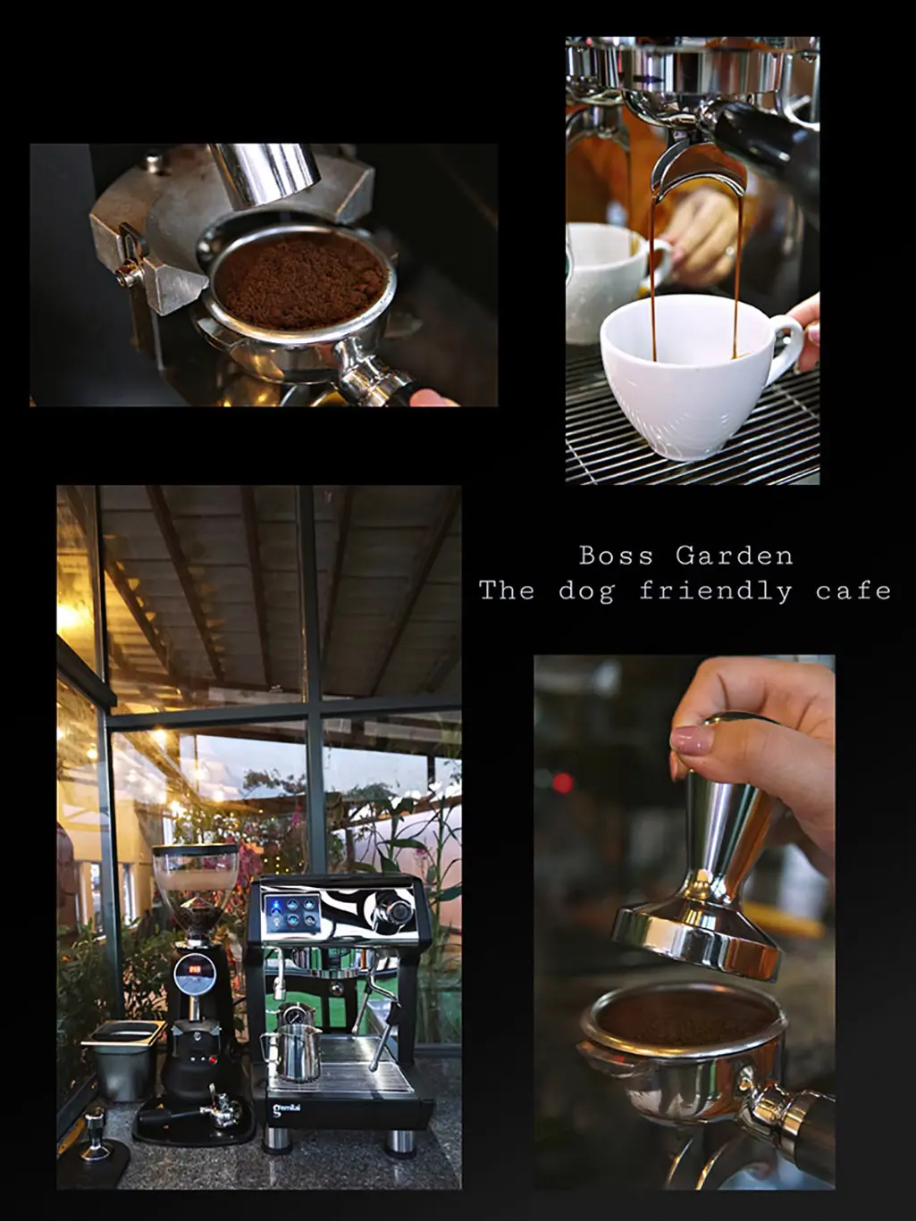 Cafe Boss Garden, qu&aacute;n c&agrave; ph&ecirc; th&uacute; cưng độc đ&aacute;o tại Bảo Lộc 9