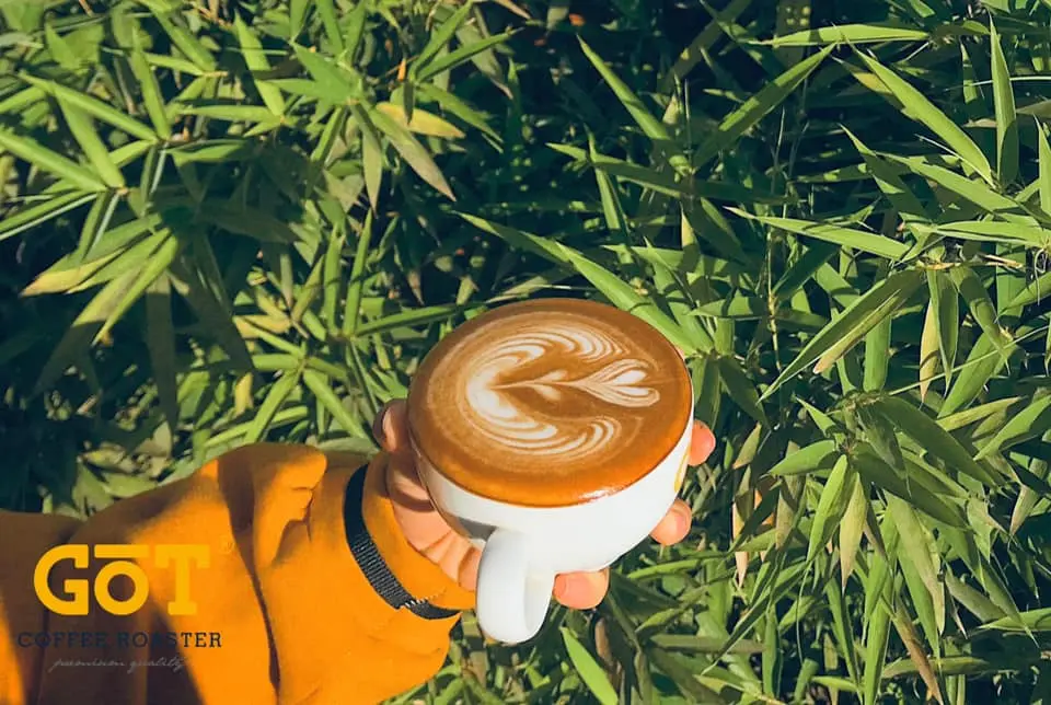 Đến ngay GOT Coffee Bảo Lộc nghe kề về c&acirc;u chuyện c&agrave; ph&ecirc; sạch 4