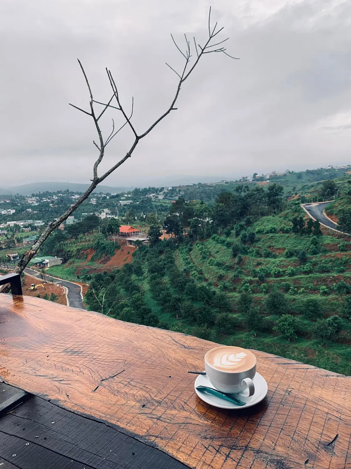 Ghé Sunset Chill Coffee tận hưởng thiên nhiên Bảo Lộc tươi mát 6