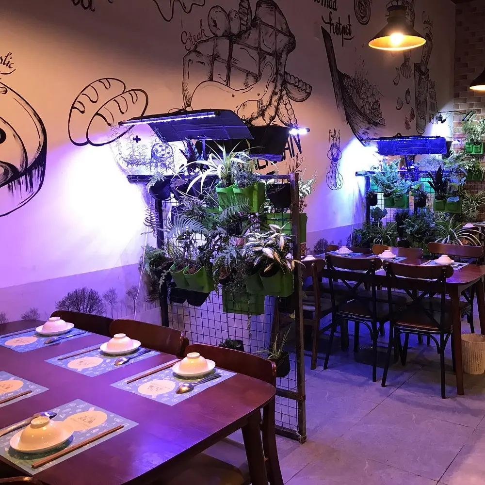 Gh&eacute; thăm Nomad's Corner v&agrave; thưởng thức c&aacute;c m&oacute;n ăn thơm ngon 3