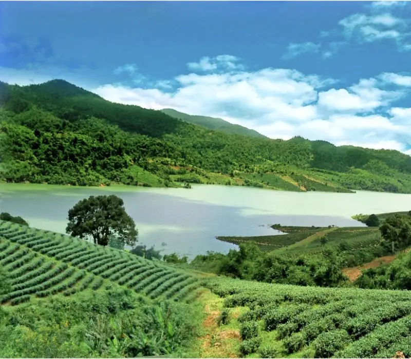 Bảo Lộc có gì chơi và top 10 trải nghiệm thú vị