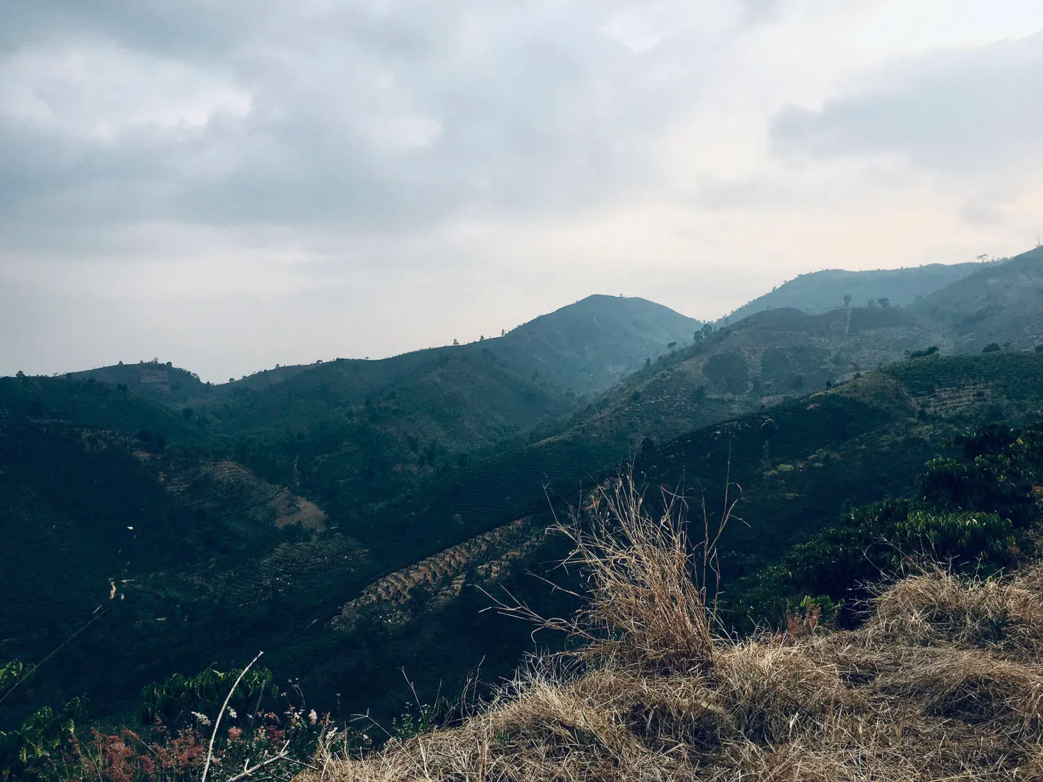 Trải nghiệm leo n&uacute;i Đại B&igrave;nh Bảo Lộc cực chill 2
