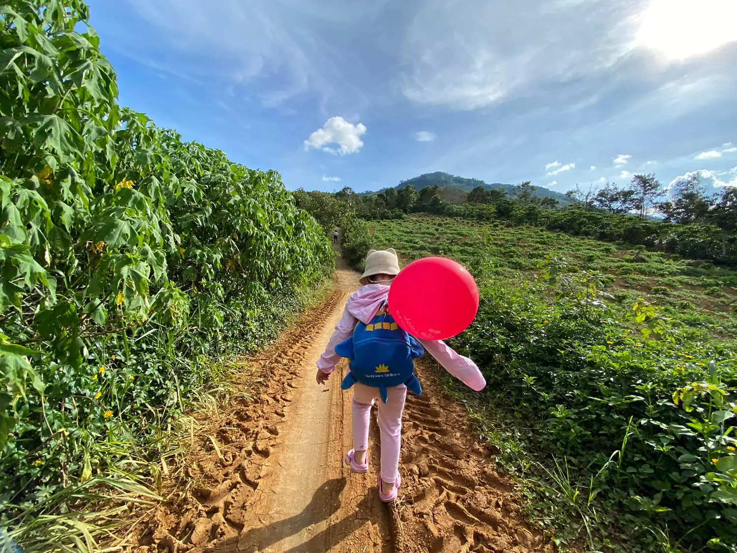 Trekking n&uacute;i Đại B&igrave;nh, H&agrave;nh tr&igrave;nh săn m&acirc;y Bảo Lộc đầy th&uacute; vị 5