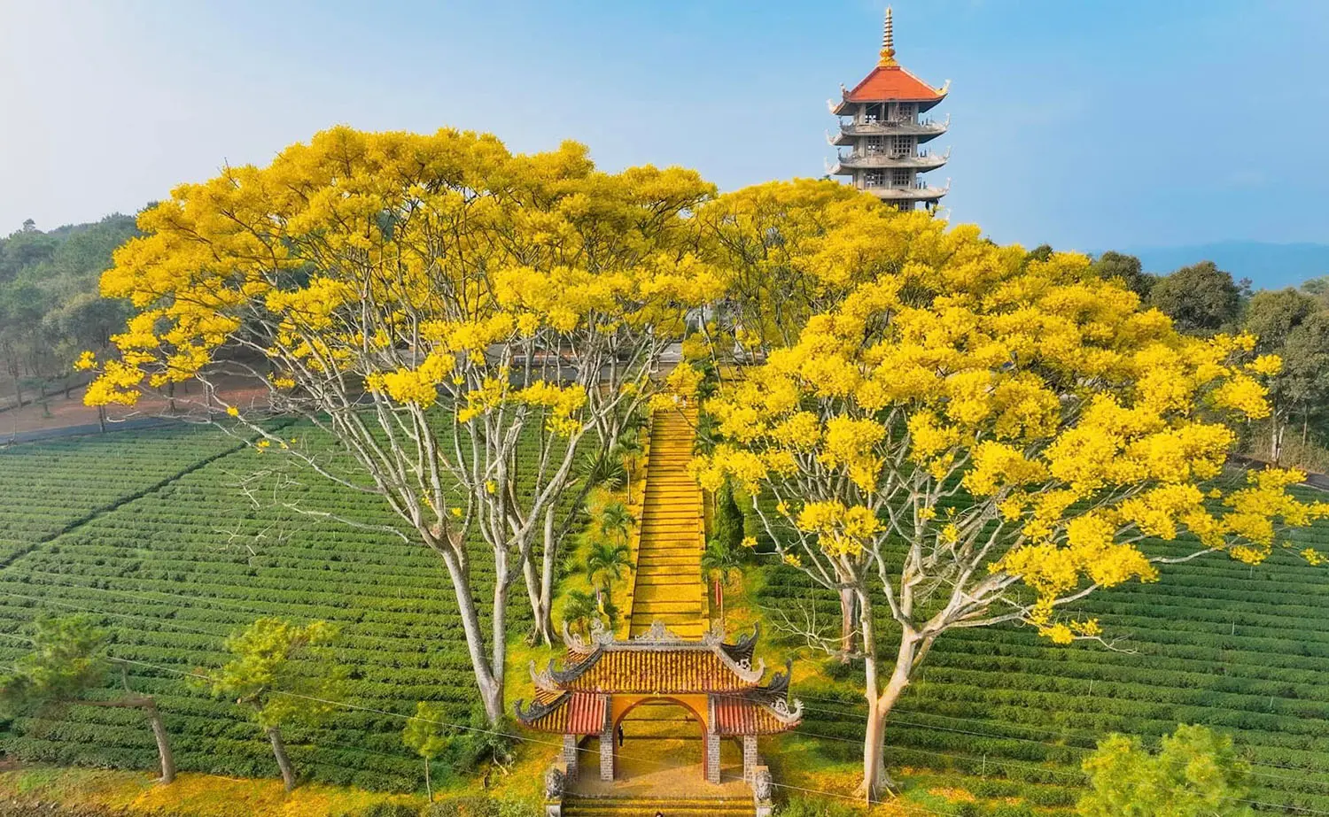Tu viện Bát Nhã, vẻ đẹp nao lòng người 2