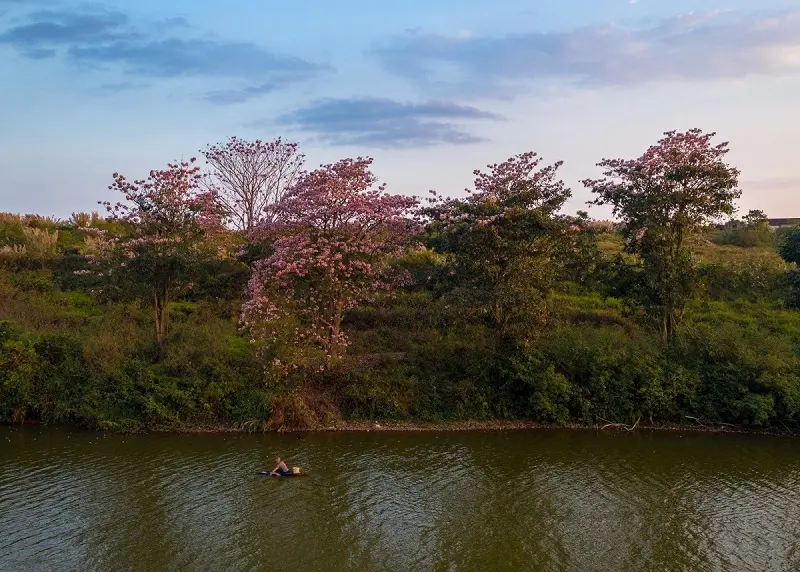 Review Hồ Nam Phương Bảo Lộc với vẻ đẹp thơ mộng hữu tình