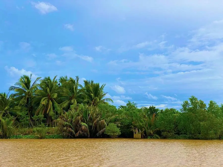 Đến M&acirc;y Lang Thang Bến Tre, chill giữa thi&ecirc;n nhi&ecirc;n miền s&ocirc;ng nước 5
