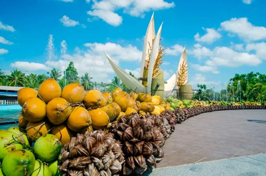 Dừa Bến Tre cùng sức hút đến từ sản vật thiên nhiên miền sông nước 6
