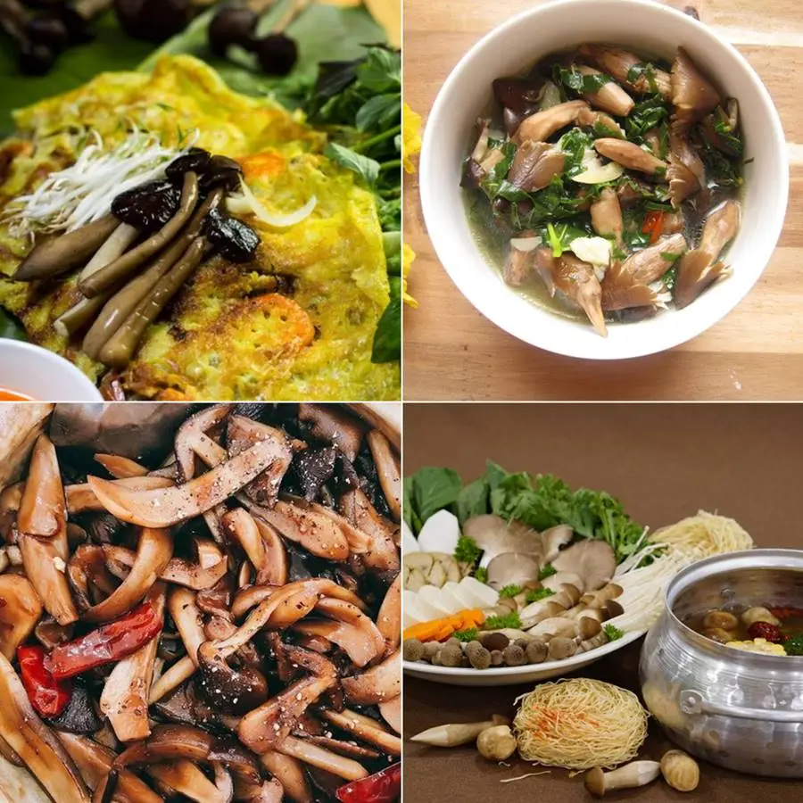 Nấm mối Bến Tre, đặc sản độc đ&aacute;o tr&ecirc;n qu&ecirc; hương xứ dừa 5