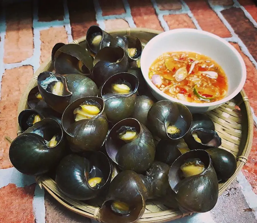 Ốc bươu nấu cà ri chuối sáp, đặc sản mùa mưa miền Tây 2