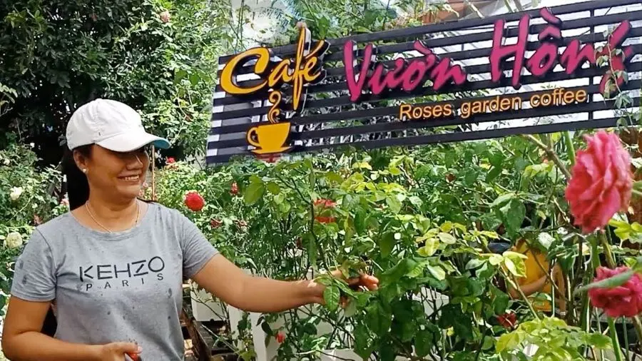 Top quán cafe sân vườn tại Bến Tre sở hữu khung cảnh yên bình, thơ mộng 3