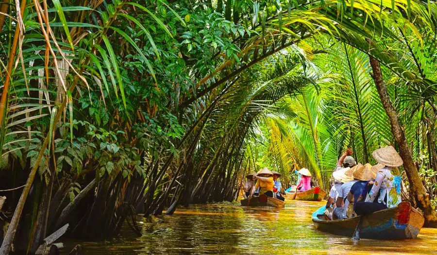 Đi xuồng ch&egrave;o Bến Tre du lịch miền s&ocirc;ng nước T&acirc;y Nam Bộ 2