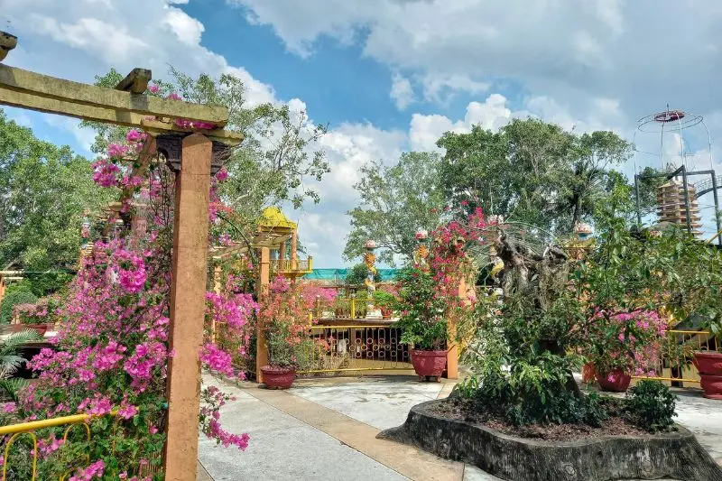 Check in Cồn Phụng Bến Tre đầy th&uacute; vị c&ugrave;ng anh ch&agrave;ng Mật B&eacute;o 4