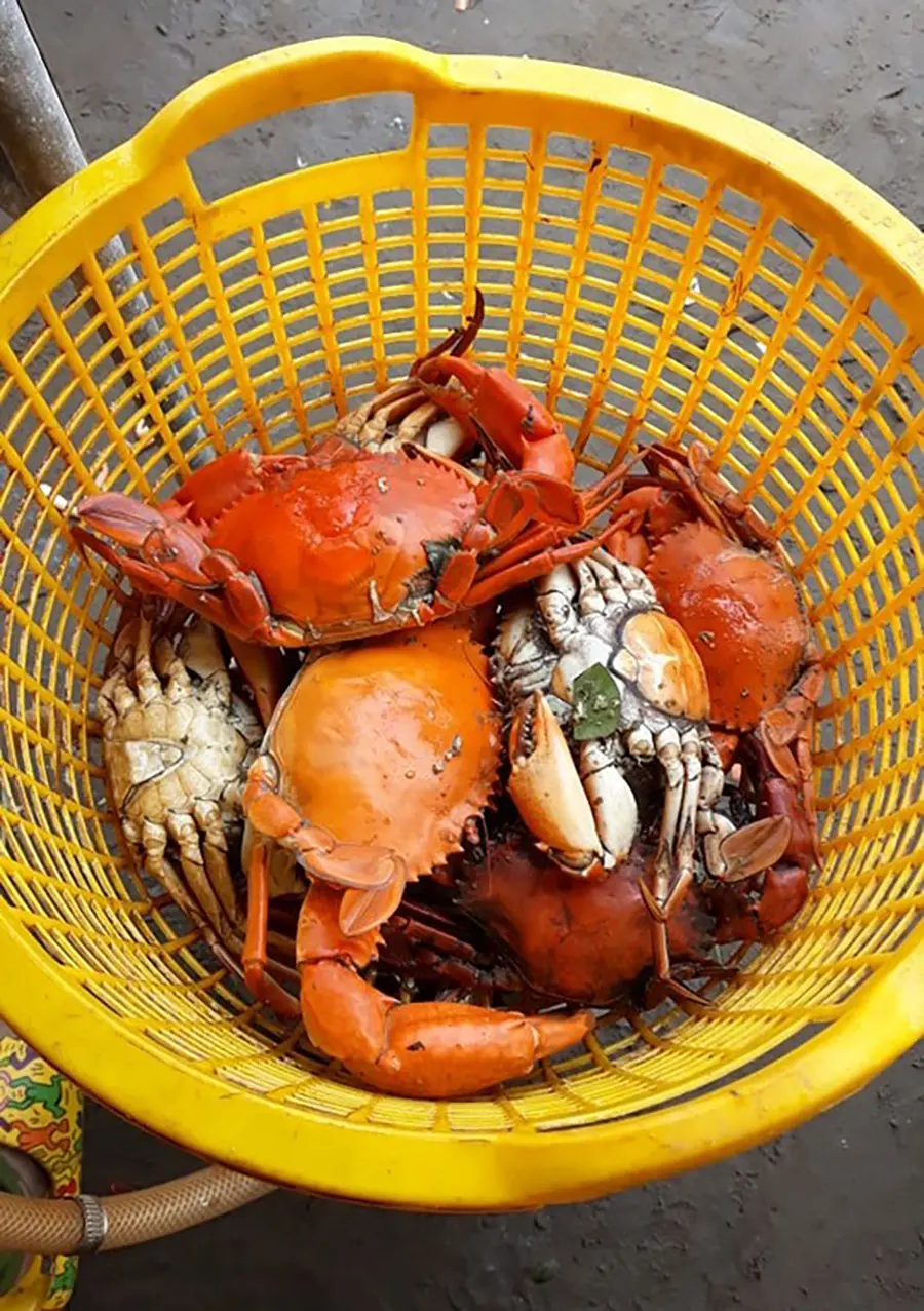 Review đi biển Thạnh Ph&uacute; ăn hải sản ngon, rẻ c&ugrave;ng c&ocirc; bạn Huyền Nhi 4