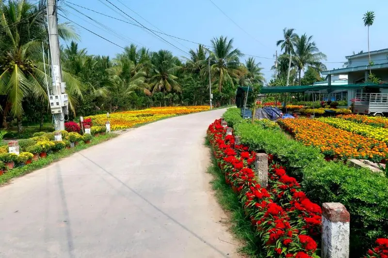 Review L&agrave;ng hoa giấy Ph&uacute; Sơn Bến Tre đẹp m&ecirc; hồn người 2