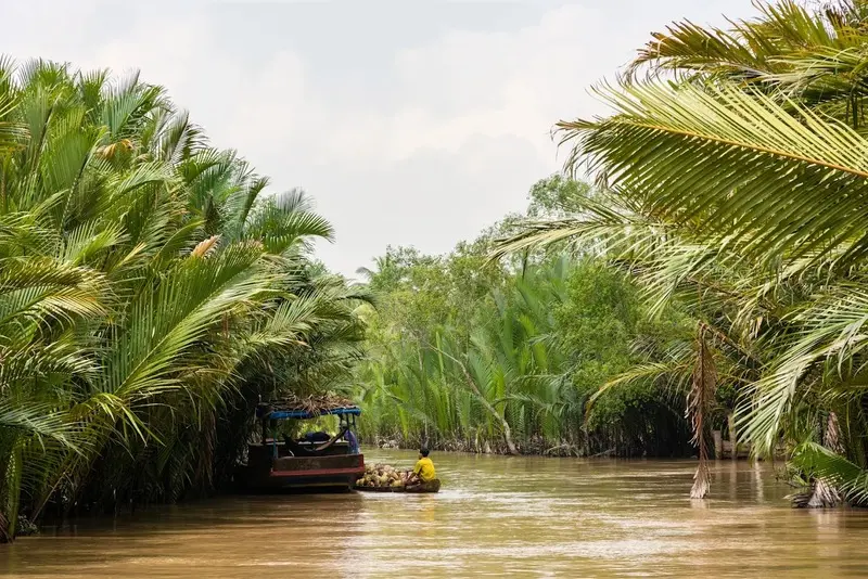 Top 8 khu du lịch sinh th&aacute;i Bến Tre đậm chất miệt vườn 5