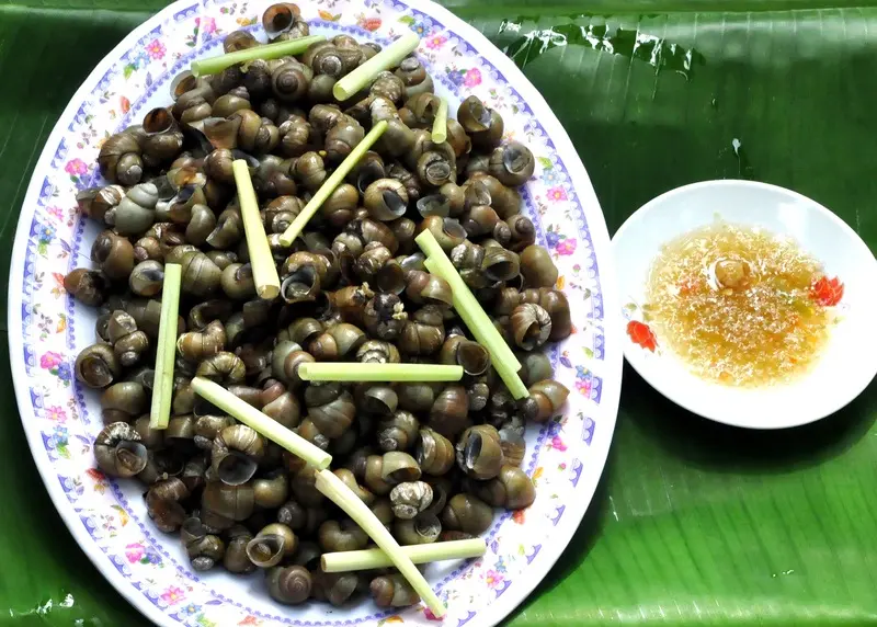 Xứ dừa Bến Tre có gì chơi mà khiến bao người nô nức ghé thăm? 4