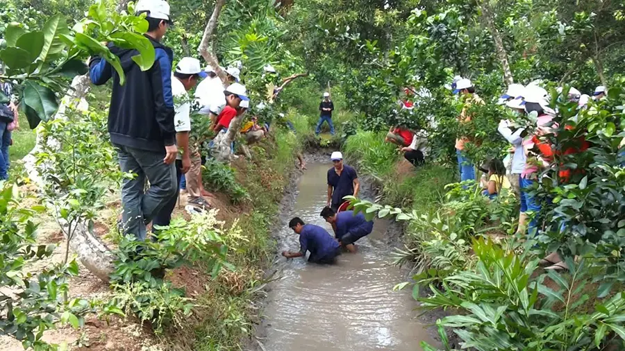 Lịch tr&igrave;nh kh&aacute;m ph&aacute; Bến Tre 2 ng&agrave;y 1 đ&ecirc;m với nhiều kỷ niệm đ&aacute;ng nhớ 4