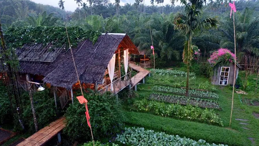Lịch tr&igrave;nh kh&aacute;m ph&aacute; Bến Tre 2 ng&agrave;y 1 đ&ecirc;m với nhiều kỷ niệm đ&aacute;ng nhớ 3