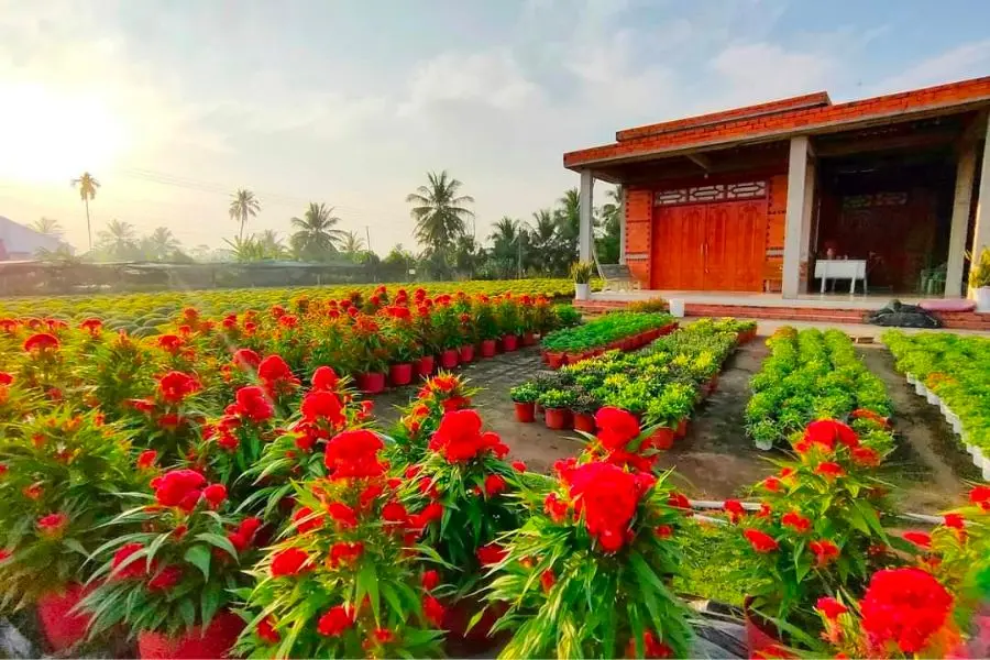M&aacute;ch bạn lịch tr&igrave;nh Chợ L&aacute;ch C&aacute;i Mơn 1 ng&agrave;y đầy th&uacute; vị 4