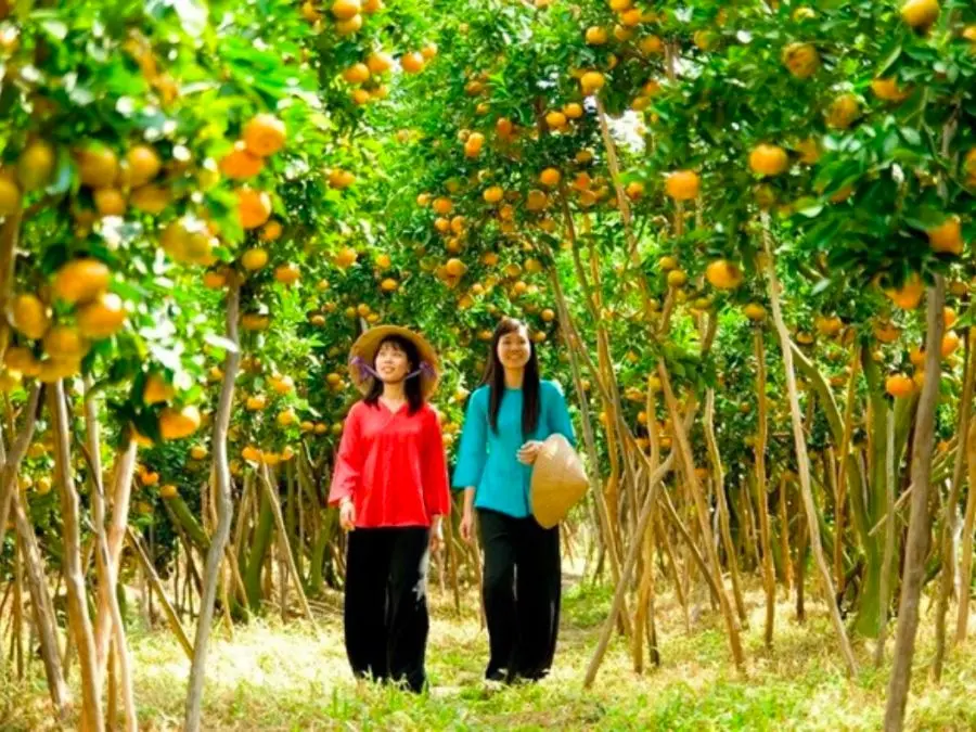 M&aacute;ch bạn lịch tr&igrave;nh Chợ L&aacute;ch C&aacute;i Mơn 1 ng&agrave;y đầy th&uacute; vị 3