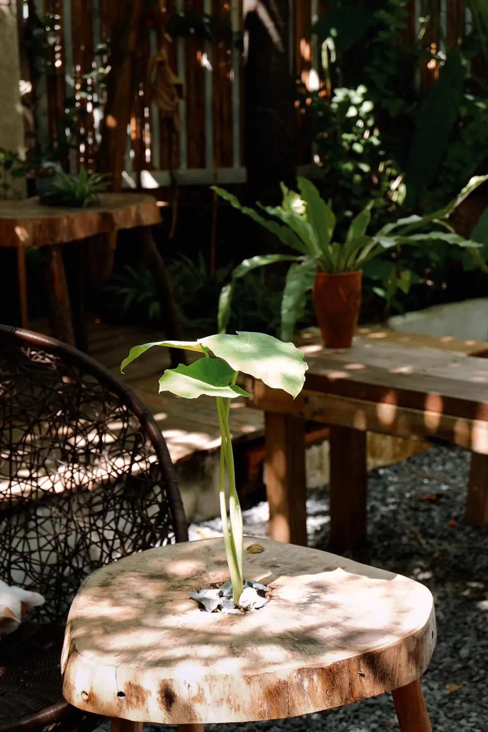 Cafe Thị 2, chốn an y&ecirc;n nơi phố thị bộn bề 5
