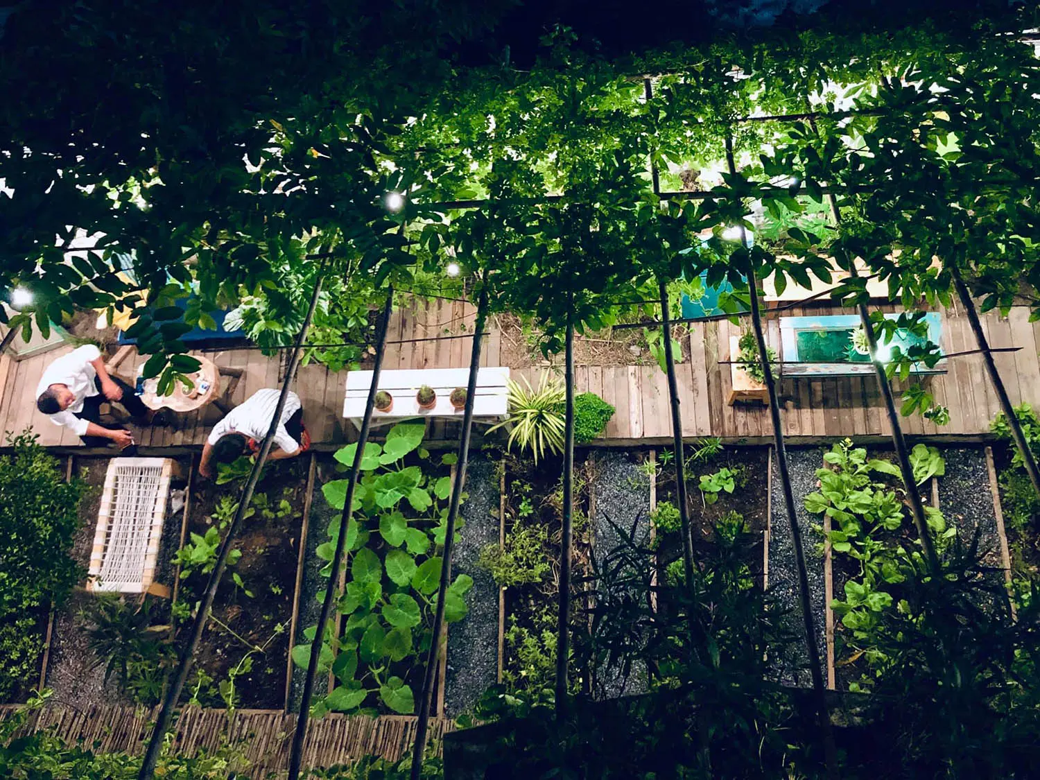 Cafe Thị 2, chốn an y&ecirc;n nơi phố thị bộn bề 9