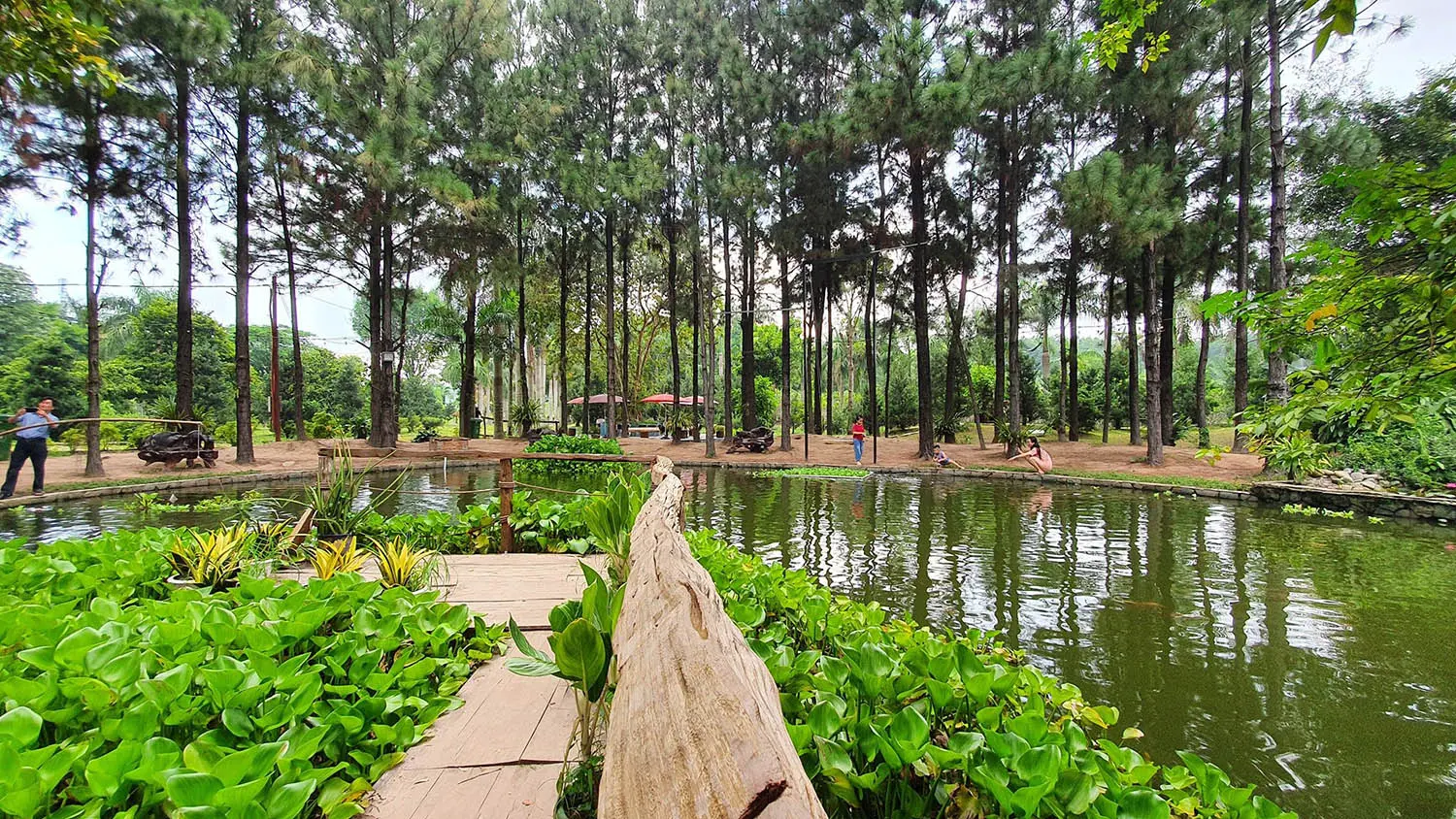 Định H&ograve;a Garden, kh&ocirc;ng gian Đ&agrave; Lạt thơ mộng giữa B&igrave;nh Dương 4
