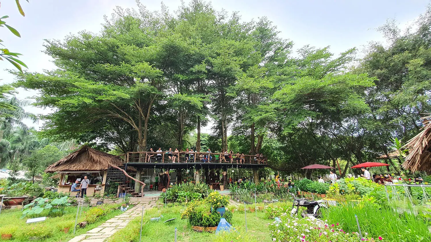 Định H&ograve;a Garden, kh&ocirc;ng gian Đ&agrave; Lạt thơ mộng giữa B&igrave;nh Dương 2